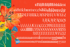 Silent Gingers - Modern Serif Display Product Image 19