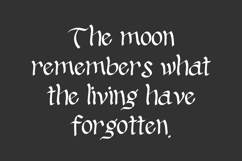 Silent Hollow Display Font Product Image 9