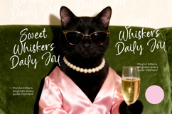 Silent Joy - Modern Handwritten Font Product Image 11