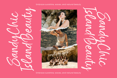 Silent Joy - Modern Handwritten Font Product Image 16