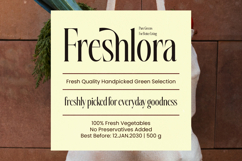 Silkigfined Elegant Luxury Serif Typeface Product Image 4