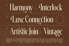 Silkigfined Elegant Luxury Serif Typeface Product Image 11