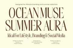 Silkigfined Elegant Luxury Serif Typeface Product Image 13