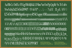 Silkigfined Elegant Luxury Serif Typeface Product Image 14