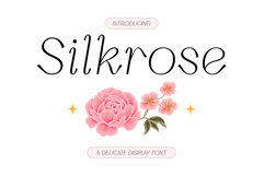 Silkrose - Delicate &amp; Feminine Display Italic Font Product Image 1