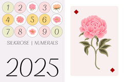 Silkrose - Delicate &amp; Feminine Display Italic Font Product Image 10