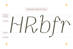 Silkrose - Delicate &amp; Feminine Display Italic Font Product Image 12