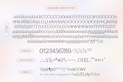 Silkrose - Delicate &amp; Feminine Display Italic Font Product Image 13
