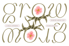 Silkrose - Delicate &amp; Feminine Display Italic Font Product Image 3