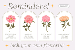 Silkrose - Delicate &amp; Feminine Display Italic Font Product Image 4