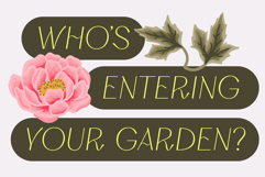 Silkrose - Delicate &amp; Feminine Display Italic Font Product Image 6