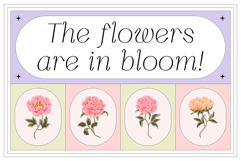 Silkrose - Delicate &amp; Feminine Display Italic Font Product Image 8