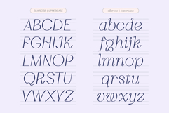 Silkrose - Delicate &amp; Feminine Display Italic Font Product Image 9