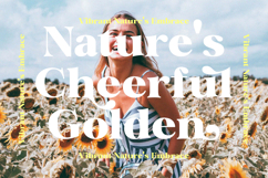 Silktop Quest - Modern Alternate Serif Product Image 3