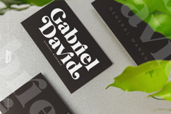 Silktop Quest - Modern Alternate Serif Product Image 10