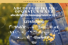 Silktop Quest - Modern Alternate Serif Product Image 18