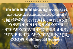 Silktop Quest - Modern Alternate Serif Product Image 19