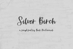 Silver Birch Script Product Image 1