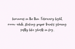 Silver Birch Script Product Image 9