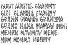 Silver Cheetah Names Bundle PNGs Only Product Image 1