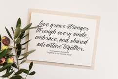 Silver Willow - Natural Signature Font Product Image 5