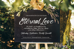 Silver Willow - Natural Signature Font Product Image 6