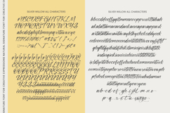 Silver Willow - Natural Signature Font Product Image 10