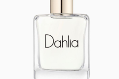 Simple Aesthetic Product Image 5