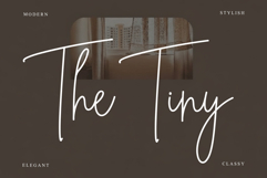 Simple Brittany Product Image 6