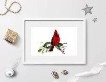 Watercolor Christmas clipart with cardinal birds Product Image 5