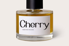 Simple Whistle Product Image 6