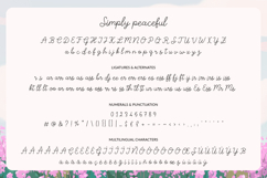 Simply Peaceful Thin Monoline Script Product Image 28