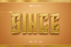 Since 3D editable text effect Product Image 1