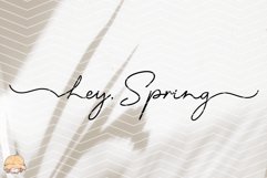 Minimalist Spring Sublimation Statement Product Image 1