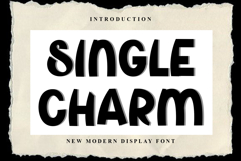 Single Charm Product Image 1