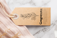 Single Honey Font Product Image 8