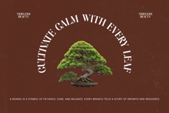 Single Robusta - Bold Tall Serif Dislay Font Product Image 2