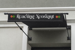 Single Robusta - Bold Tall Serif Dislay Font Product Image 4