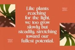 Single Robusta - Bold Tall Serif Dislay Font Product Image 8