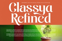 Single Robusta - Bold Tall Serif Dislay Font Product Image 10