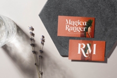 Single Robusta - Bold Tall Serif Dislay Font Product Image 15