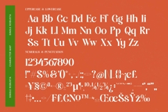 Single Robusta - Bold Tall Serif Dislay Font Product Image 18