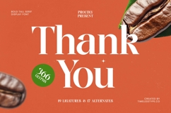 Single Robusta - Bold Tall Serif Dislay Font Product Image 20