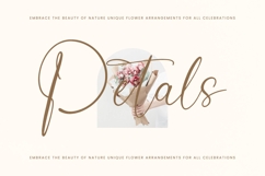Sintalia Kelista - Stylish Handwritten Font Product Image 3