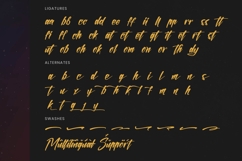 Sinthetic Virtual - Modern Brush Font Product Image 19