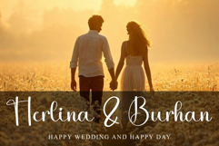 Sister Daisy Product Image 8