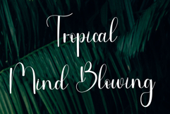 Sister Dancing Product Image 6