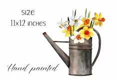 Watercolor narcissus clipart in watering can. Spring flowers Product Image 4
