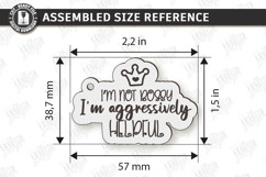 Sarcastic Keychains Laser Cut Bundle | Funny Snarky Keyrings Product Image 19