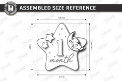 Baby Monthly Milestone Laser cut - Newborn Announcement Sign Product Image 15